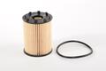 Abarth 500 Oil Filter. Part Number 6000633302